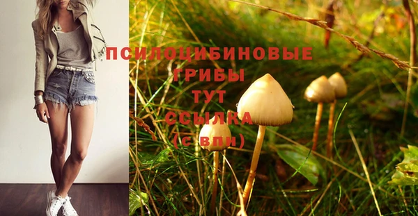 бошки Абинск