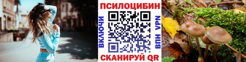 где продают наркотики  Северская  Галлюциногенные грибы MAGIC MUSHROOMS 